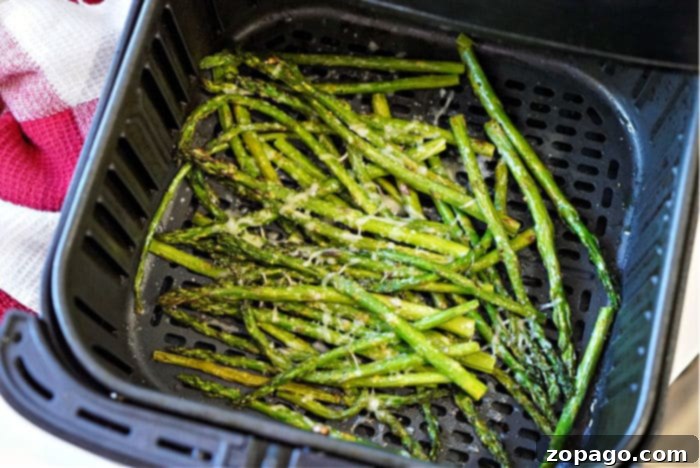 Crispy Ninja Foodi Air Fryer Asparagus 8 A close-up shot of cooked parmesan asparagus, ready to be enjoyed.
