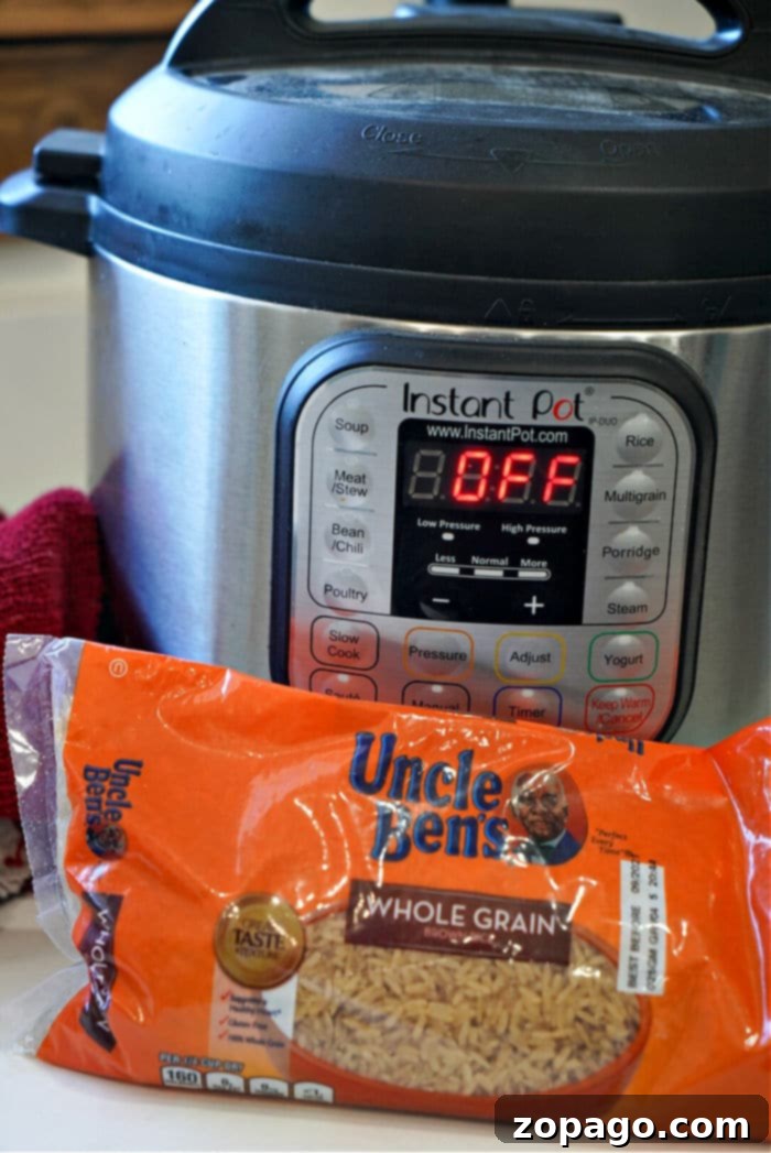 Perfect Instant Pot Brown Rice 4 Close-up of fluffy Instant Pot brown rice in a pot
