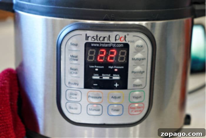 Perfect Instant Pot Brown Rice 6 Instant Pot appliance on a kitchen counter, ready for cooking.