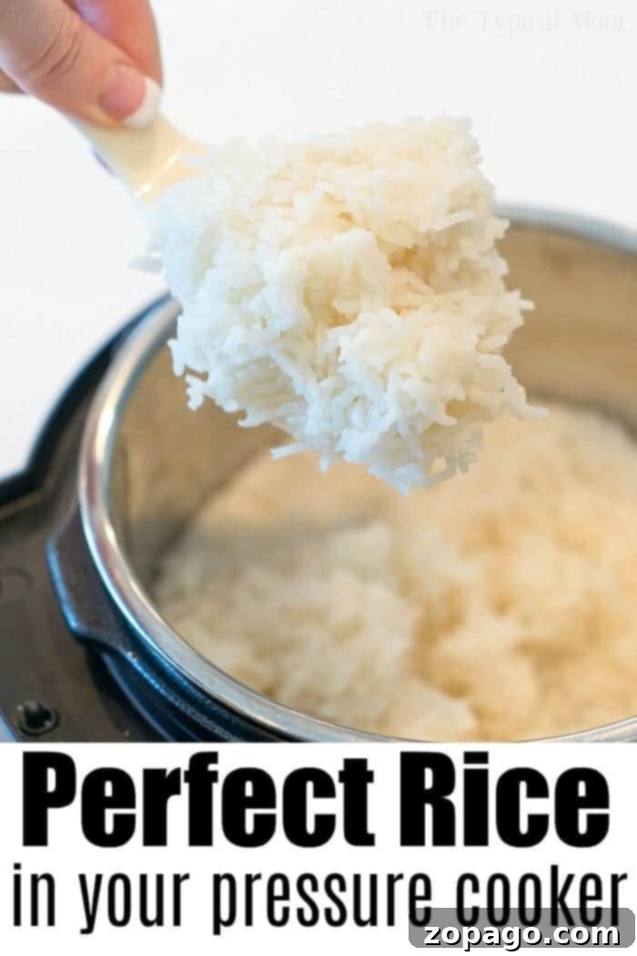 Perfect Instant Pot Brown Rice 8 Perfectly cooked white rice in a pressure cooker