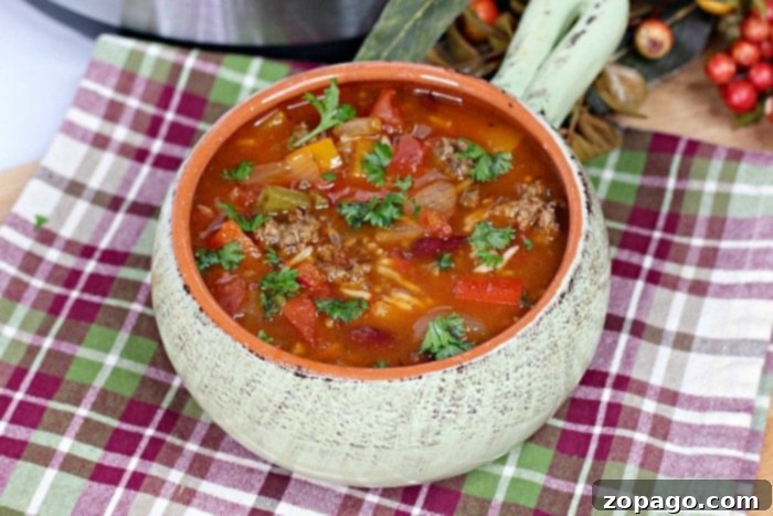 Hearty Instant Pot Stuffed Pepper Soup 5 Bowl of unstuffed pepper soup with rice