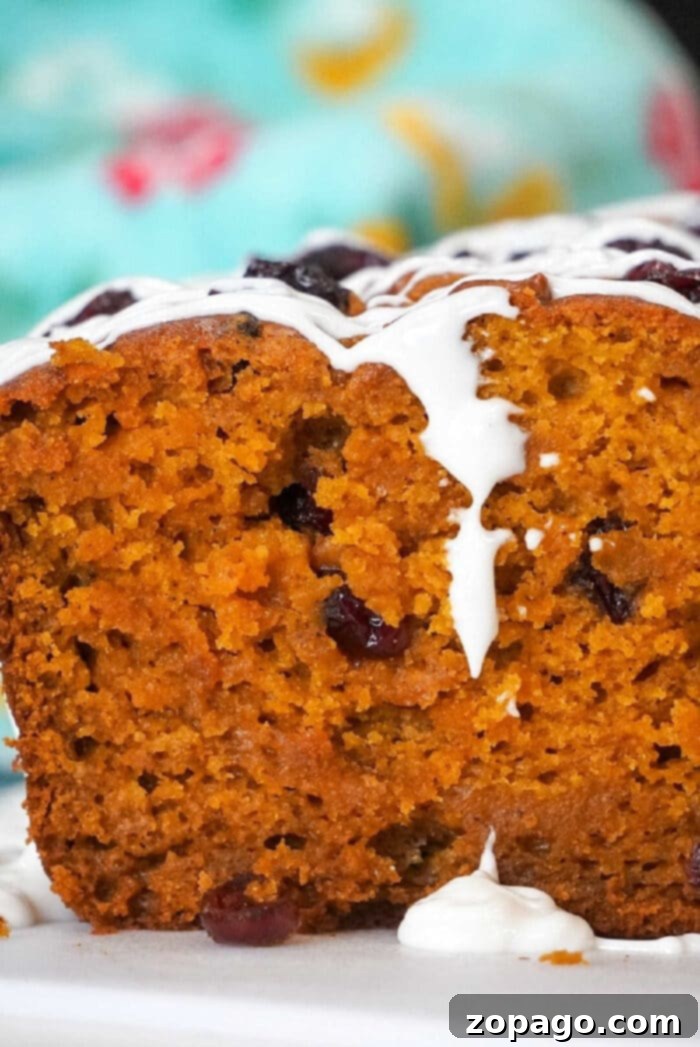 Harvest Pumpkin Cranberry Loaf 7 A beautifully presented slice of Libby's pumpkin cranberry bread.