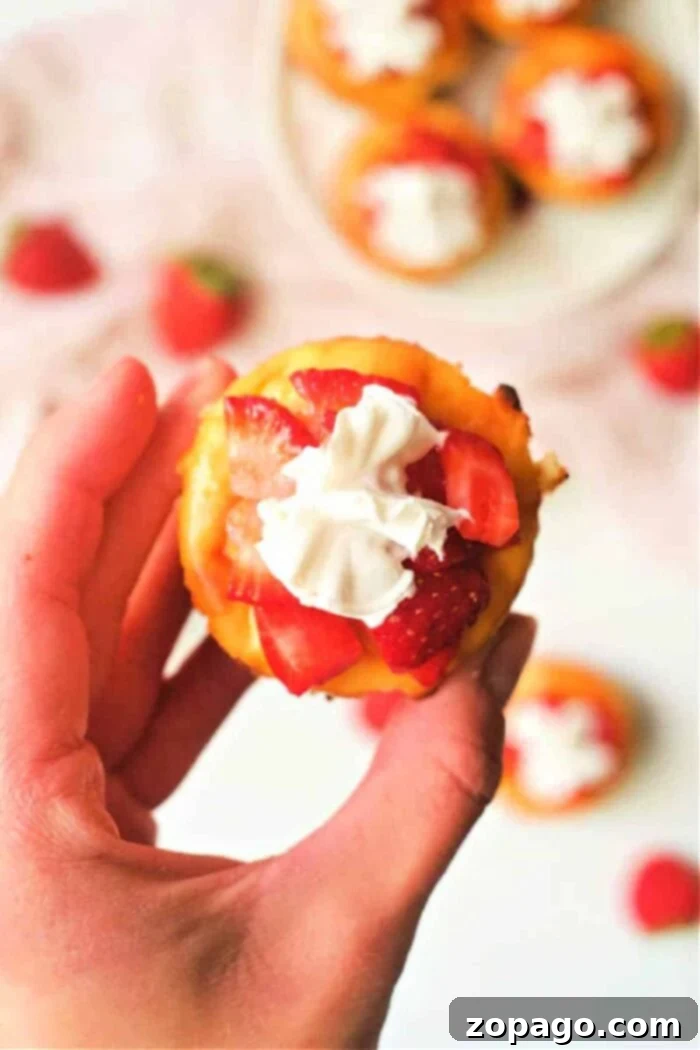 Mini Cheesecakes 8 Overhead shot of freshly baked mini cheesecakes in a muffin tin, garnished with fruit and cream.