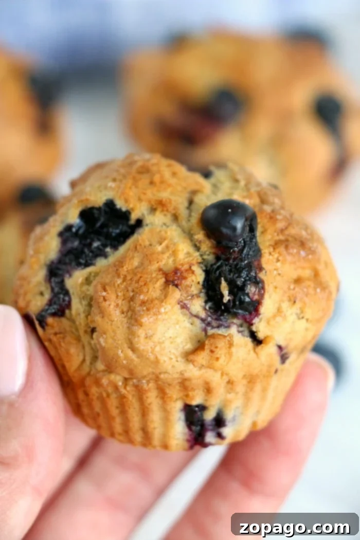 Air Fryer Muffins 2 Freshly baked blueberry muffins in an air fryer basket