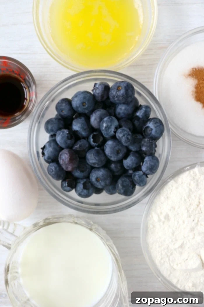 Air Fryer Muffins 9 Ingredients for homemade blueberry muffins laid out on a kitchen counter