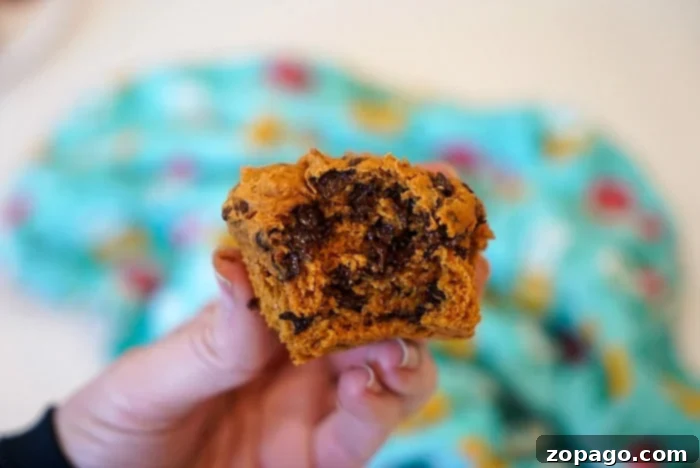 Effortless Two Ingredient Pumpkin Muffins 10 pumpkin spice muffin recipe 2 ingredients