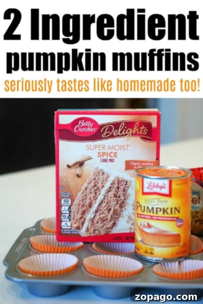 Effortless Two Ingredient Pumpkin Muffins 3 2-Ingredient-Pumpkin-Muffins