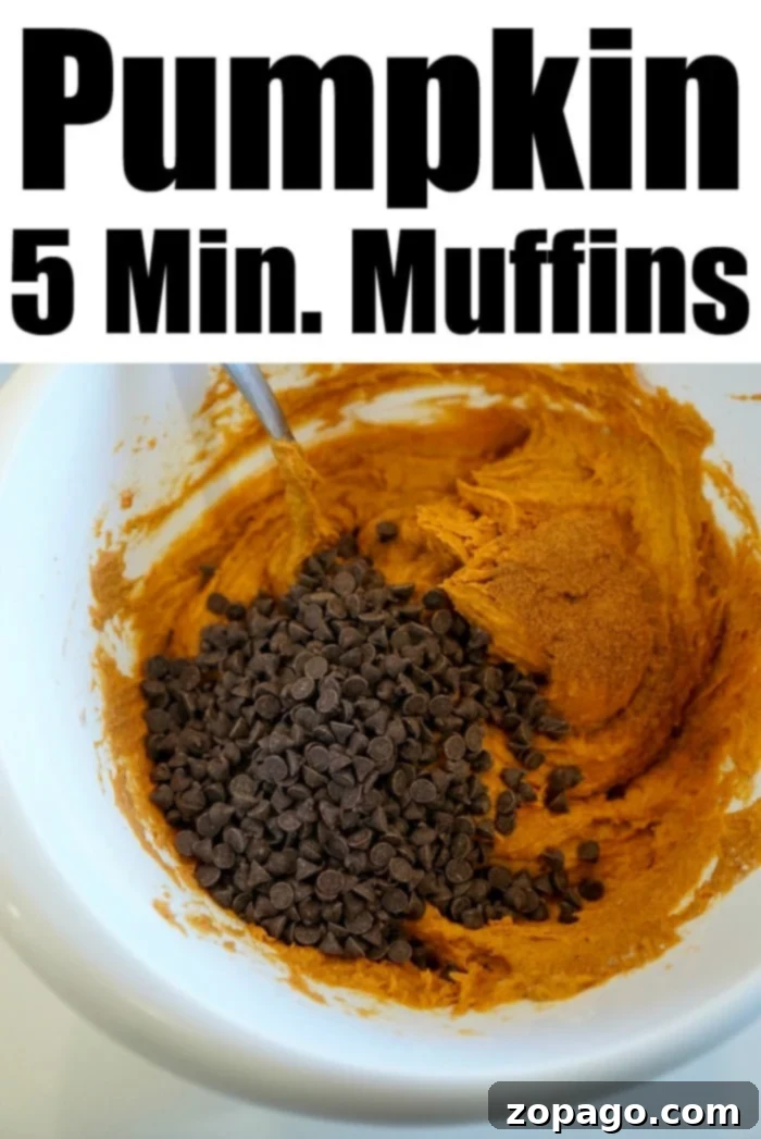 Effortless Two Ingredient Pumpkin Muffins 5 pumpkin muffins using cake mix