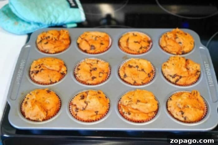 Effortless Two Ingredient Pumpkin Muffins 7 A tray of freshly baked 2 ingredient pumpkin muffins, rests on the stovetop with an oven mitt nearby.