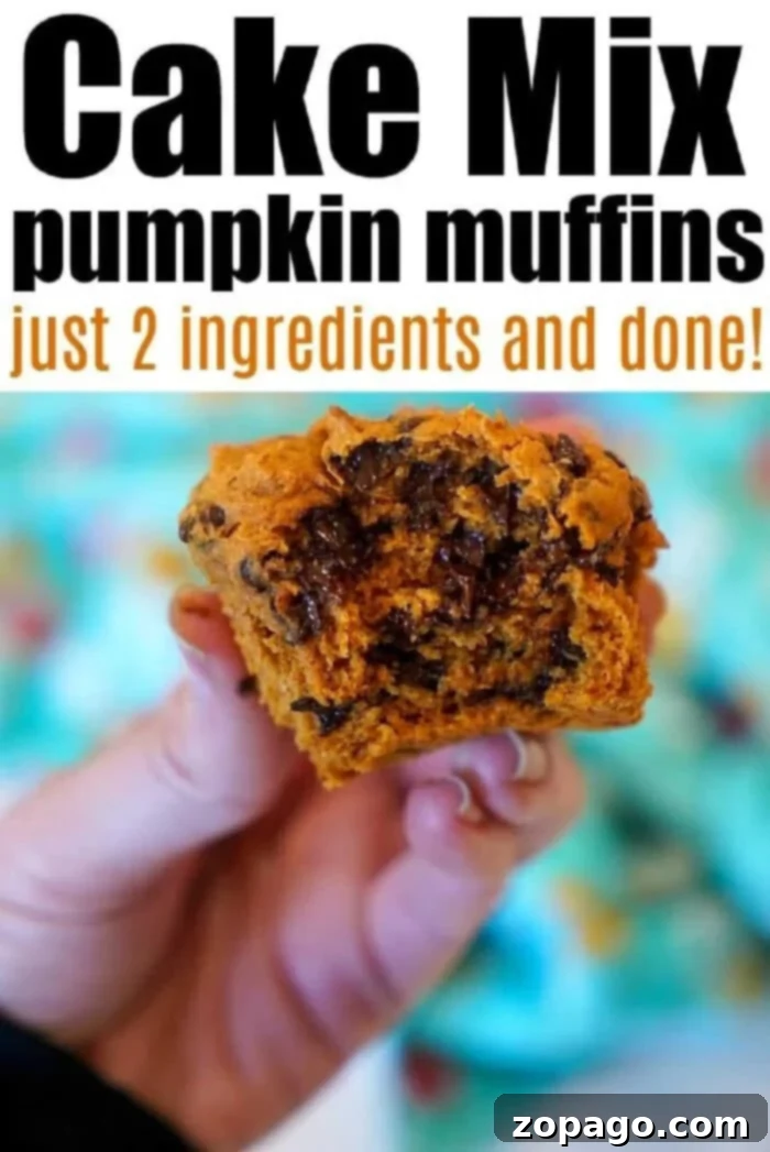 Effortless Two Ingredient Pumpkin Muffins 8 2-ingredient-pumpkin-bread