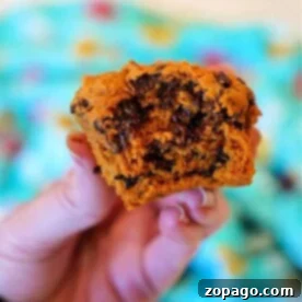 Effortless Two Ingredient Pumpkin Muffins 9 A hand holds a delicious two-ingredient pumpkin muffin studded with chocolate chips, set against a blurred, colorful background.