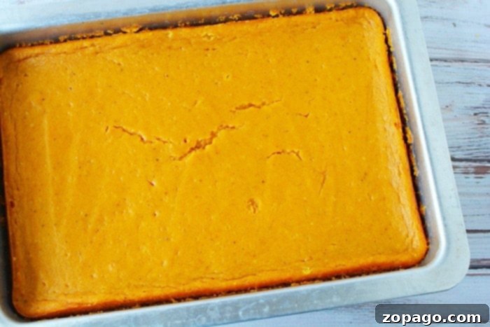 Pumpkin Pie Bars 6 Pumpkin Pie in a Sheet Pan, showing the smooth, baked filling and golden crust ready to be sliced.
