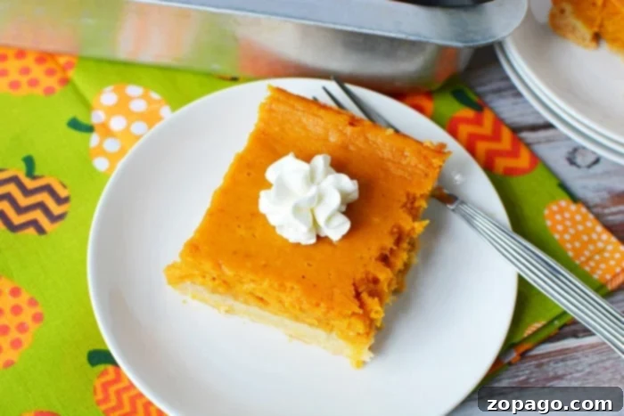 Pumpkin Pie Bars 8 Easy Pumpkin Pie recipe, a close-up of a perfectly baked square slice on a white plate with whipped cream.