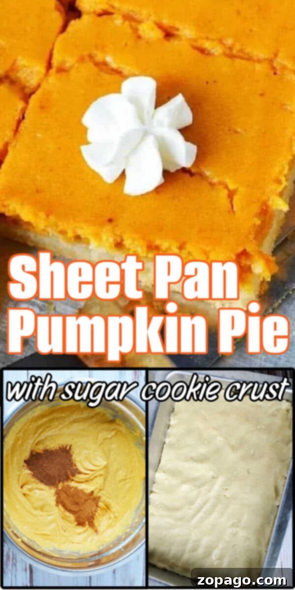 Pumpkin Pie Bars 9 Sheet pan pumpkin pie with a sugar cookie crust, topped with whipped cream, shown in three preparation steps for an easy and crowd-pleasing dessert.