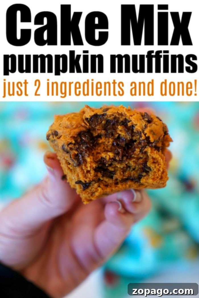 2 ingredient pumpkin bread