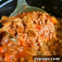 Close-up of a ladle holding shredded beef spaghetti sauce over a slow cooker, perfect for transforming into a rich spaghetti sauce using leftover beef.