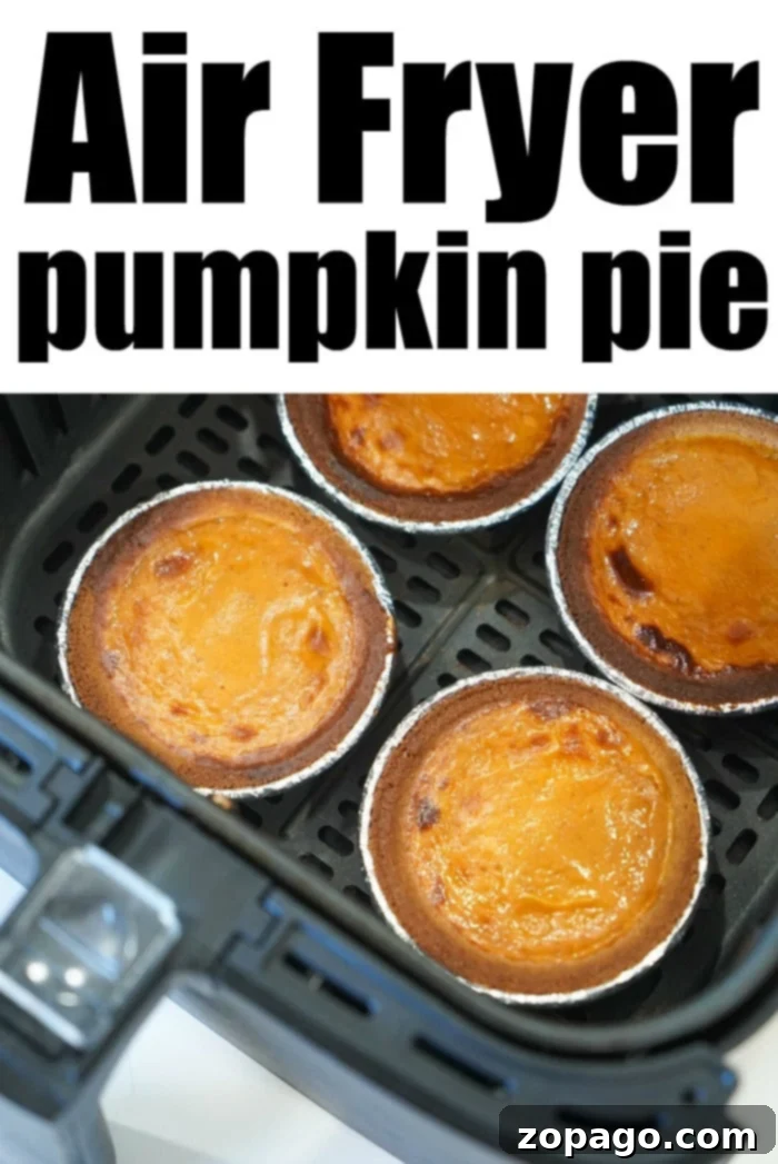 Individual Pumpkin Pie Perfection 7 A perfectly baked mini pumpkin pie in an air fryer, ready to be served.