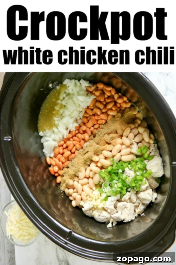 Creamy Crockpot White Chicken Chili 5 white chicken chili crockpot recipe