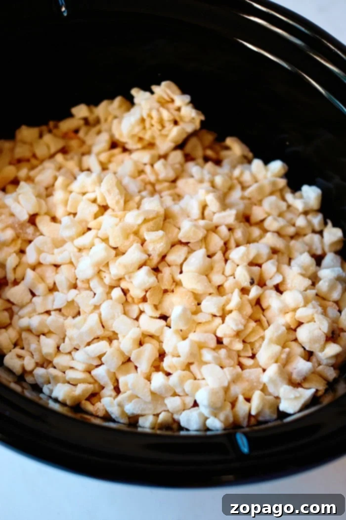 Crockpot Homestyle Cheesy Potato Bake 3 Frozen hash browns nestled in a black crockpot, ready to be transformed into a comforting, cheesy potato casserole.
