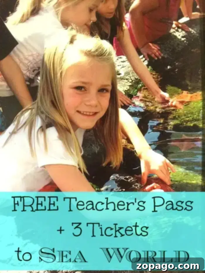 Complimentary Sea World Admission for Educators 3 Families enjoying the SeaWorld San Diego experience with free teacher passes