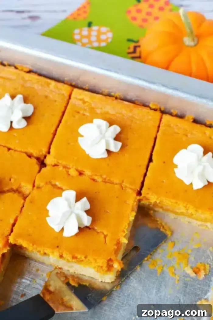 Half Sheet Cake Recipe 7 Square slices of pumpkin pie with whipped cream on top, arranged on a baking tray, reminiscent of a half sheet cake being served.