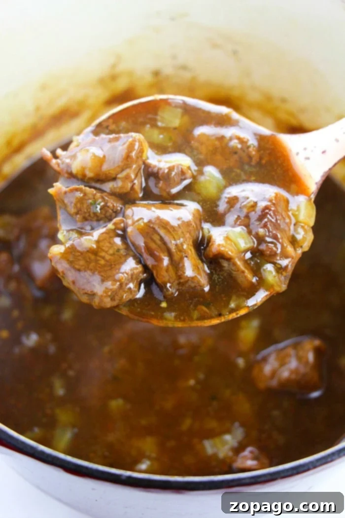 Learning how to cook beef tips, hovers over a pot of rich broth.