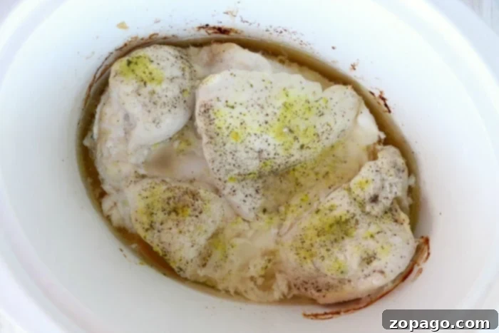 From Freezer to Feast Slow Cooker Chicken 6 Slow cooker filled with seasoned frozen chicken, a convenient meal in progress.