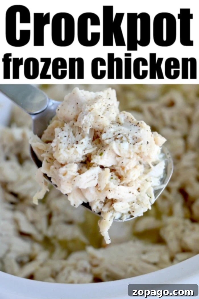 From Freezer to Feast Slow Cooker Chicken 7 Perfectly shredded Crockpot chicken, ready for various recipes.