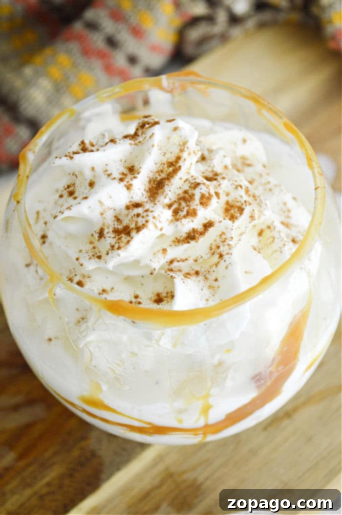 Easy Three Ingredient Pumpkin Cocktail 2 pumpkin cocktail