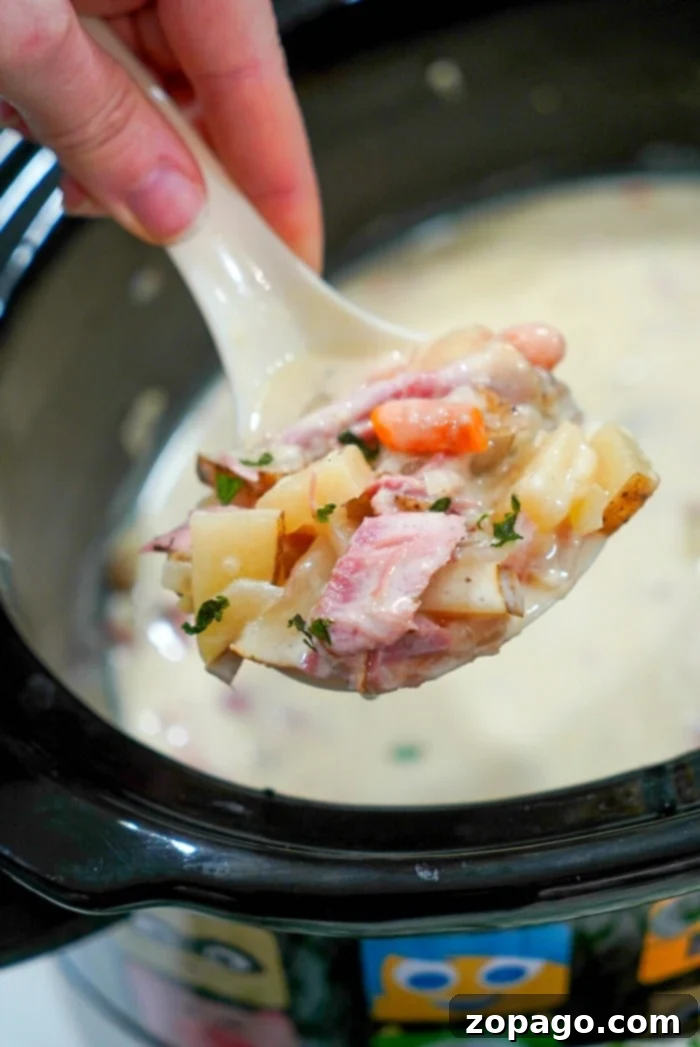 Hearty Slow Cooker Ham & Potato Chowder 2 Creamy Crockpot Ham and Potato Soup with herbs