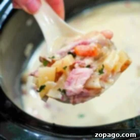 A ladle scoops creamy crockpot ham and potato soup with herbs from a slow cooker.