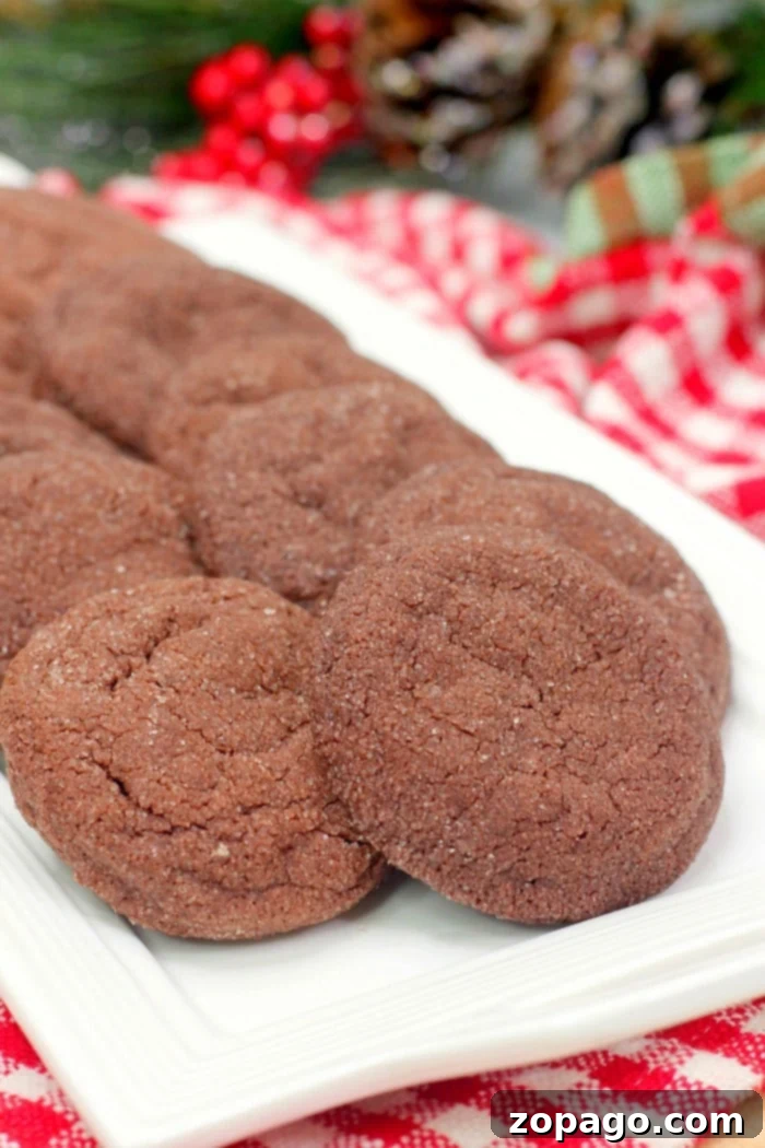 Effortless Snickerdoodle Hot Chocolate Cookies 2 Delicious Snickerdoodle Hot Chocolate Cookies showcasing their crinkled, cinnamon-sugar coating and rich chocolate color, ready for sharing.