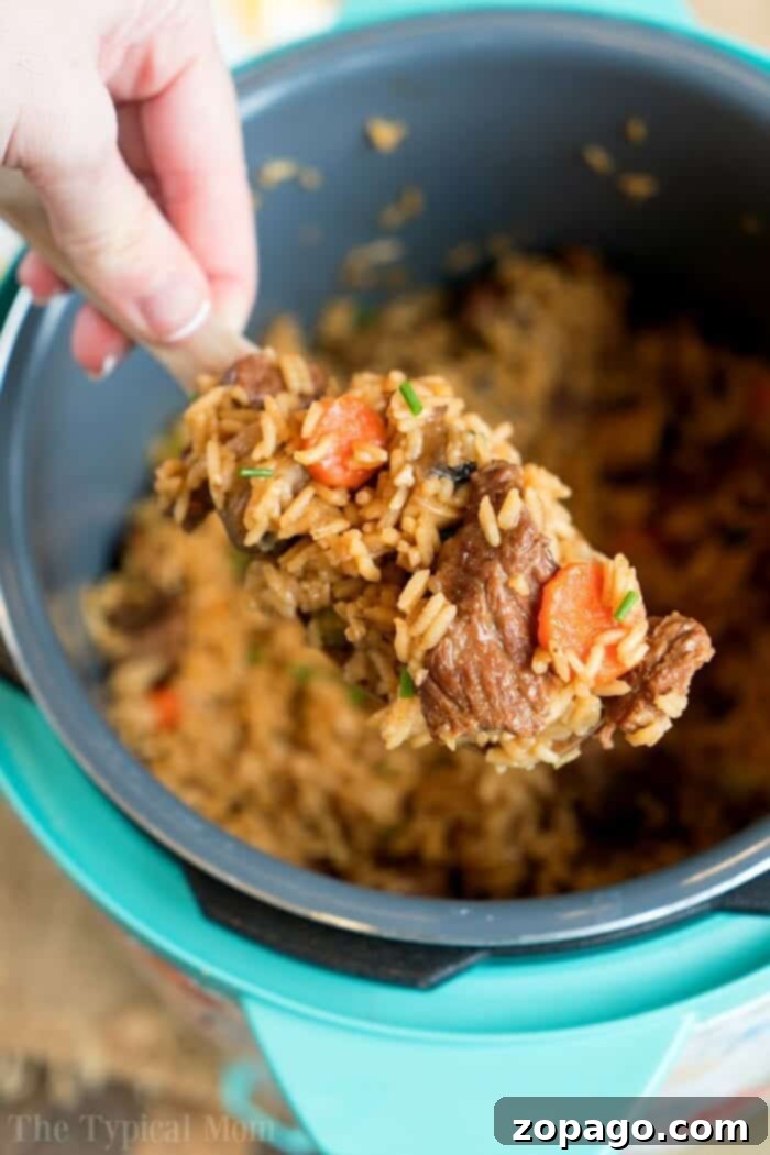 Swift Beef Stew Meat Delights 5 A hand holding a spoonful of beef stew meat and rice from a rice cooker, showcasing a delicious creation inspired by recipes using beef stew meat.