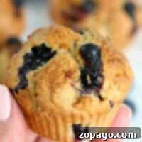 Effortless Cosori Air Fryer Creations 21 A hand holds a freshly baked blueberry muffin, made effortlessly in an air fryer, with more muffins tantalizingly blurred in the background.
