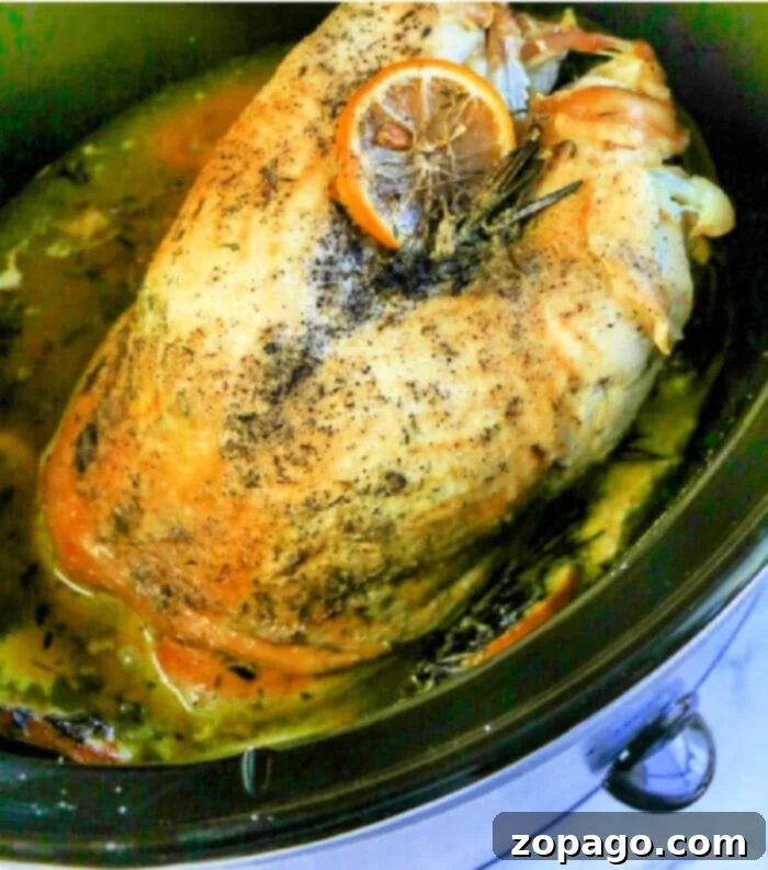 Tender Slow Cooker Turkey Crown 2 Savor the tenderness of slow-cooked turkey crown, seasoned with herbs and topped with a slice of orange in our easy slow cooker recipe.