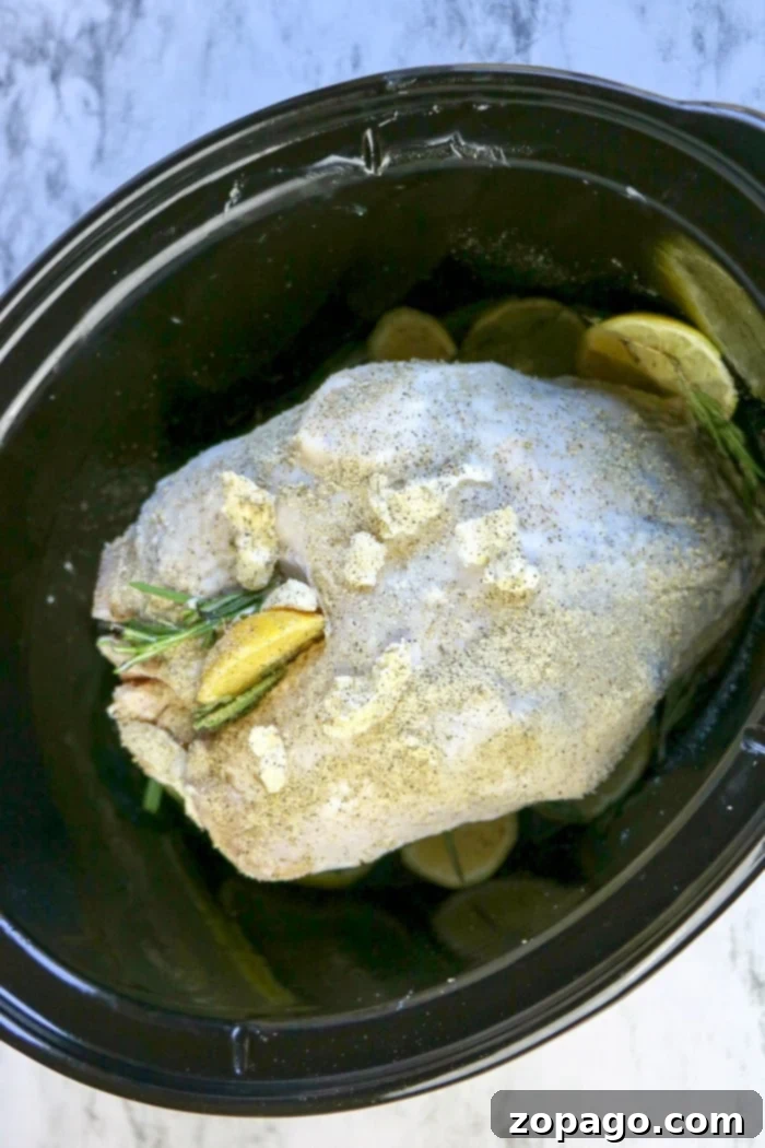 Tender Slow Cooker Turkey Crown 5 This slow cooker turkey crown recipe features raw turkey breast seasoned with herbs and lemon slices for a succulent meal.