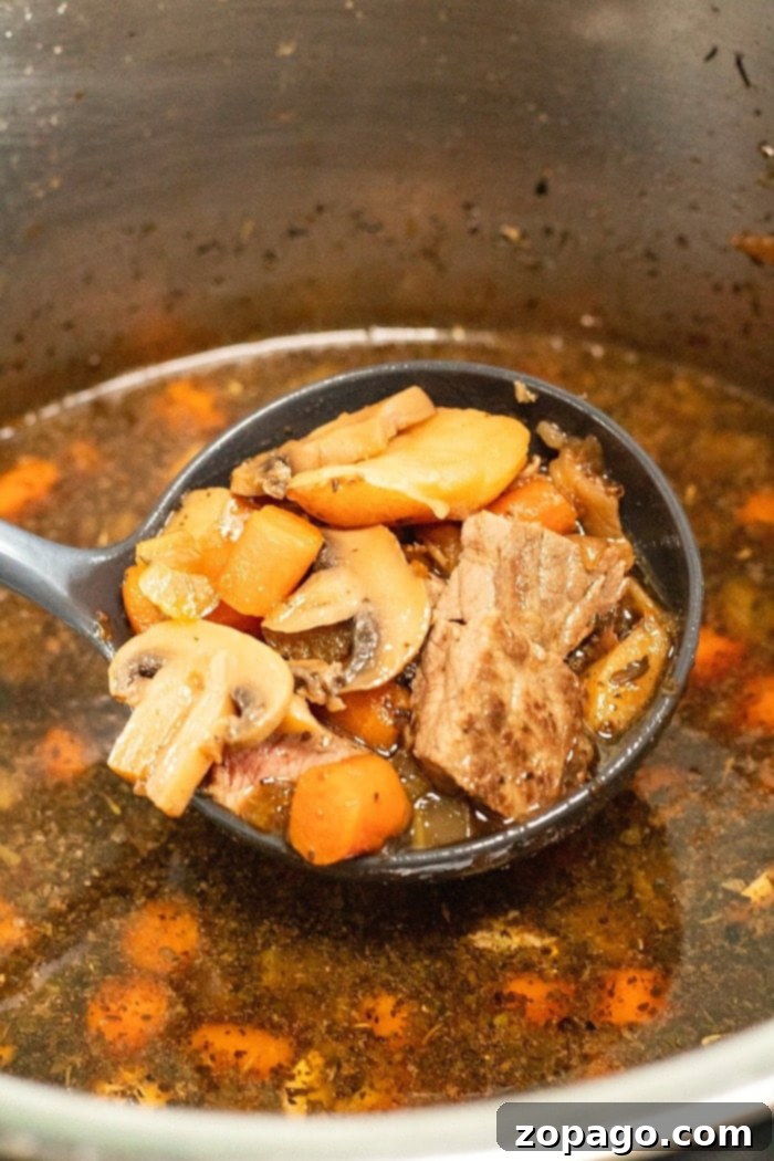 Mastering Delicious Soups in Your Ninja Foodi 13 ninja foodi soup