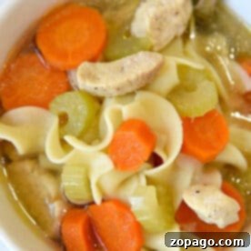Mastering Delicious Soups in Your Ninja Foodi 4 A bowl of Instant Pot chicken noodle soup with carrots, celery, noodles, and tender chicken pieces, served with a spoon inside.
