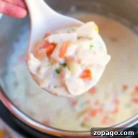 Mastering Delicious Soups in Your Ninja Foodi 5 A spoonful of creamy chicken pot pie soup with vegetables held over an Instant Pot.