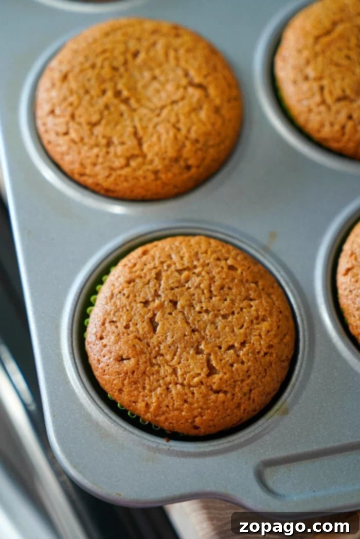 Gingerbread Cake Mix Muffins 5 A vibrant overhead shot of freshly baked gingerbread muffins cooling on a wire rack, with some still in the muffin tin, ready to be frosted.