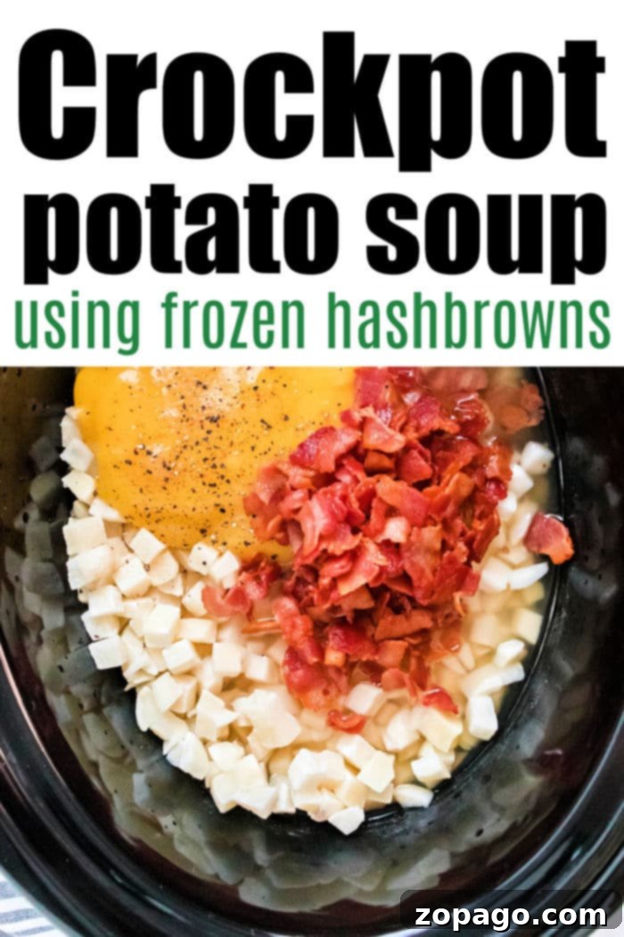 Creamy Slow Cooker Hashbrown Potato Soup 5 Crockpot Potato cheese Soup