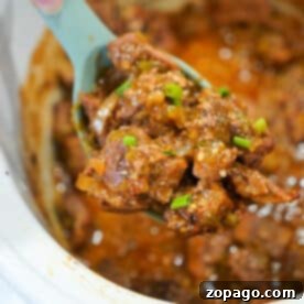 A spoonful of slow cooker pork carnitas stew with vegetables being lifted from a crockpot.
