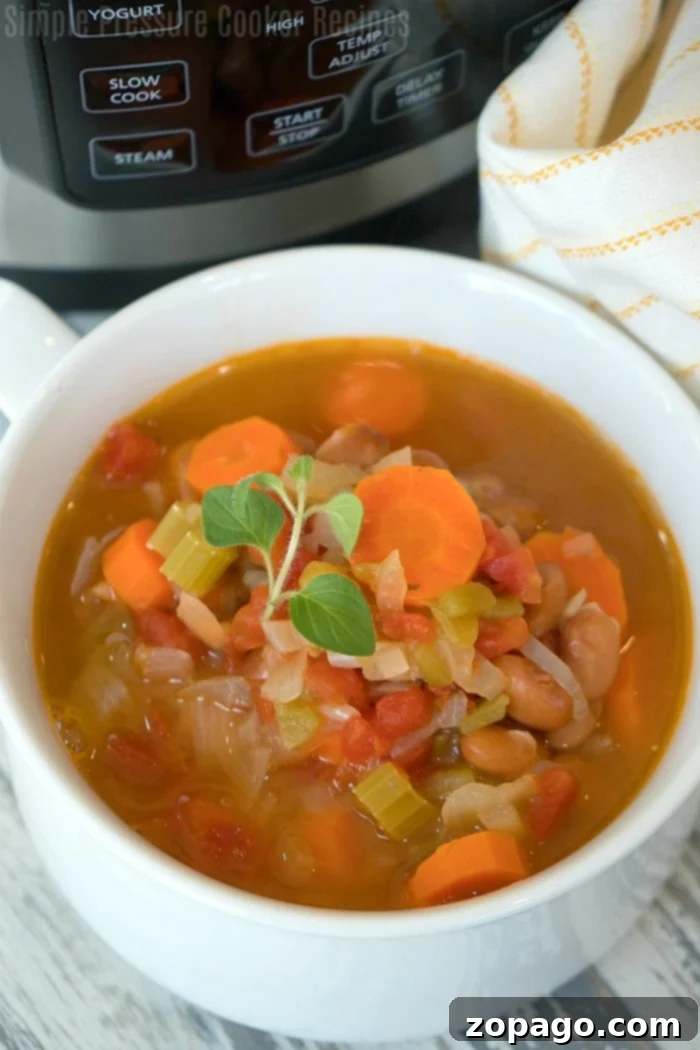 Crockpot Express Pinto Bean Soup - Tender Beans and Vegetables Close up of Crockpot Express Pinto Bean Soup with fresh vegetables