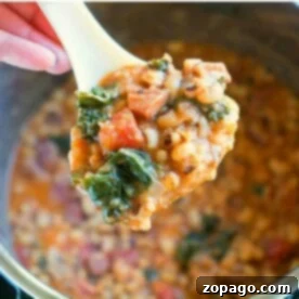 A spoonful of hearty slow cooker stew brimming with beans, greens, and tomatoes, reminiscent of a cozy bowl of hoppin' john.