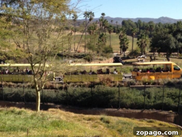Experience Family Fun at San Diego Safari Park, Southern California Expansive view of San Diego Safari Park with a tram and diverse wildlife in a large habitat