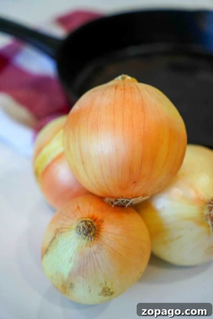 The Right Onion for Every Dish 2 Assortment of Types of Onions for Cooking