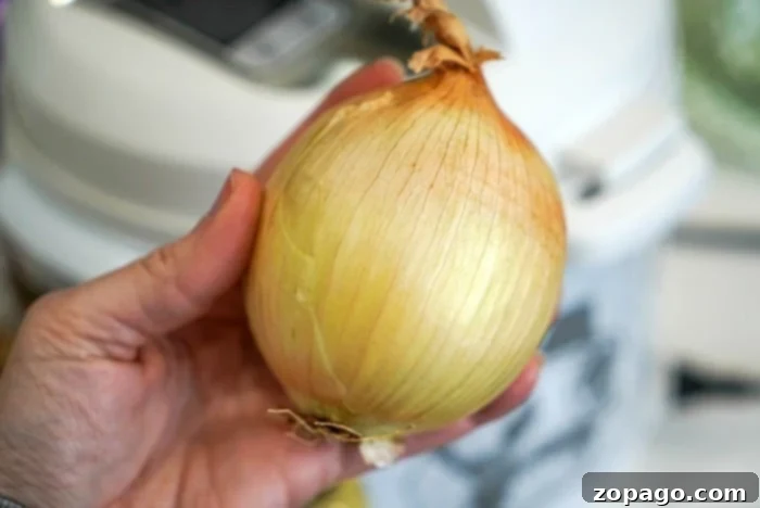 Discovering Onion Varieties Your Culinary Guide 9 onion