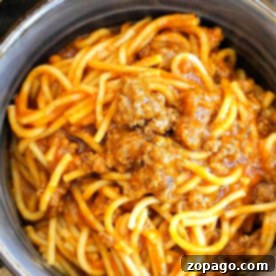 Versatile Ground Beef Recipes 9 A bowl of instant pot spaghetti with ground meat in tomato sauce.