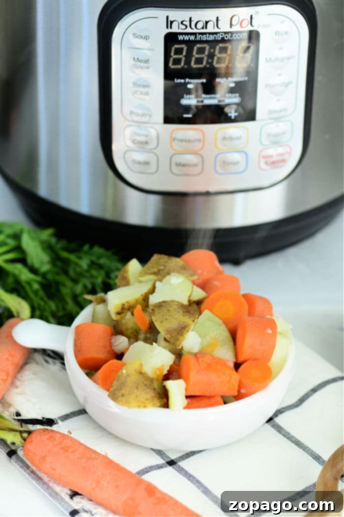 Perfect Instant Pot Potatoes and Carrots 5 A delicious serving of Instant Pot potatoes and carrots, perfectly seasoned and garnished