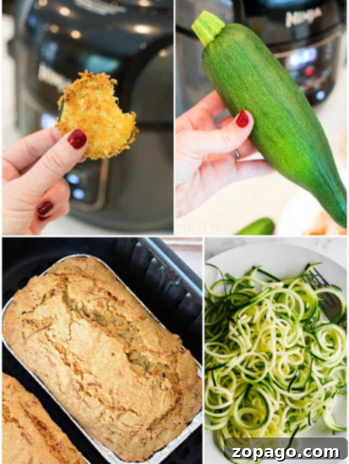 Crispy Air Fryer Zucchini Ideas 2 Air fryer zucchini recipes including crispy chips, stuffed boats, and golden fritters.